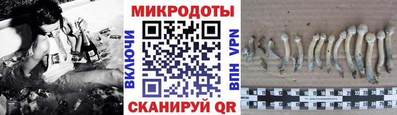 кракен ТОР  закладка  Оханск  Галлюциногенные грибы Magic Shrooms 